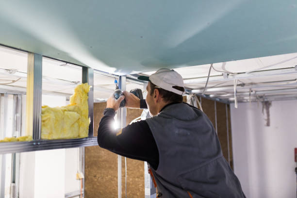 Best Eco-Friendly Insulation in Gantt, SC