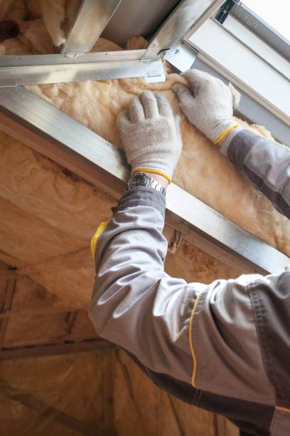 Best Blown-in Insulation in Gantt, SC